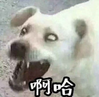 《不良人2》有奖问答，送京东卡