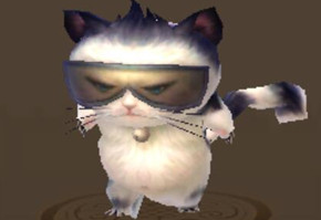 天龙八部手游墨镜猫怎么样？墨镜猫技能属性图鉴