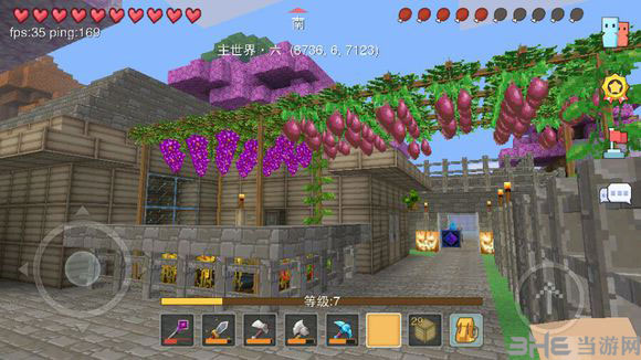 奶块如何种植物 奶块种植方法介绍