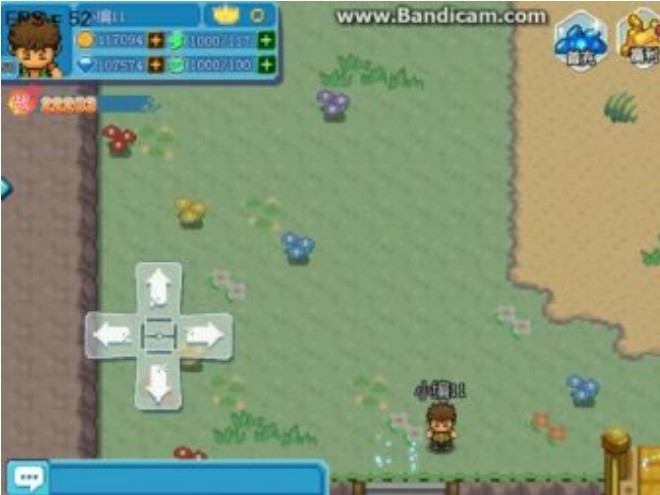 口袋妖怪新世代怎么找到隐藏精灵 获取隐藏精灵的方法